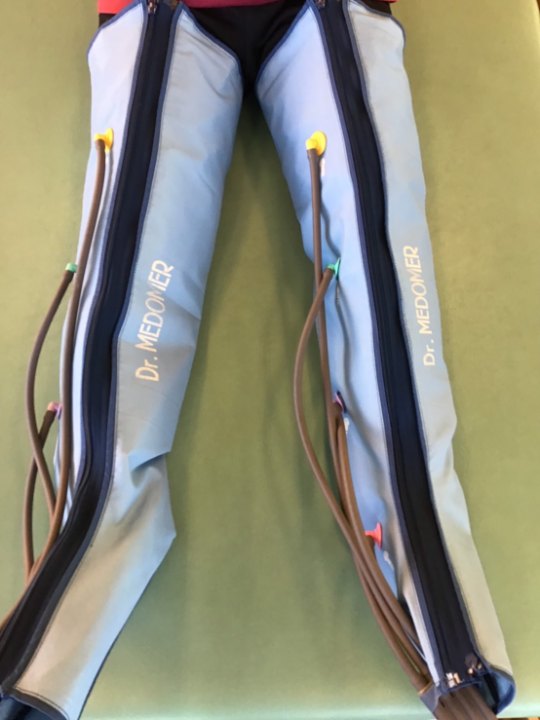 メドマーの画像